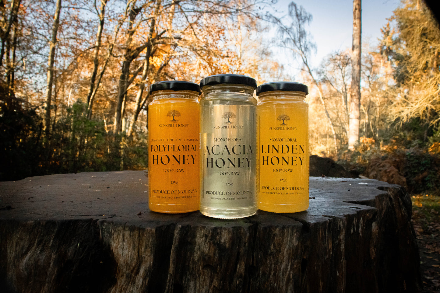 Special Raw Honey Box Set