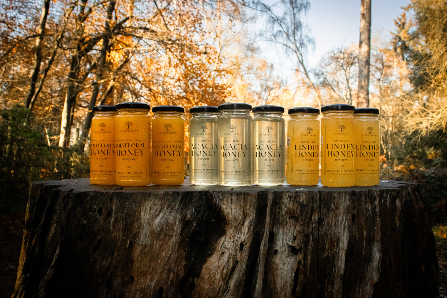 Special Raw Honey Box Set