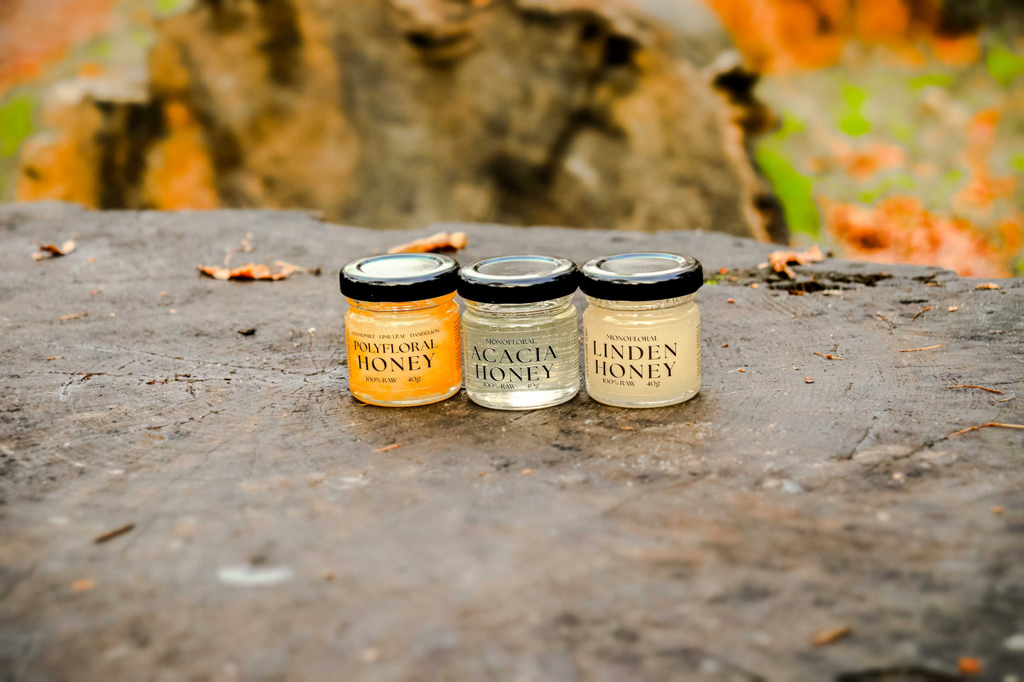 Special Raw Honey Taster Set