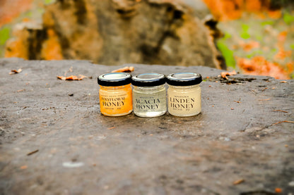 Special Raw Honey Taster Set