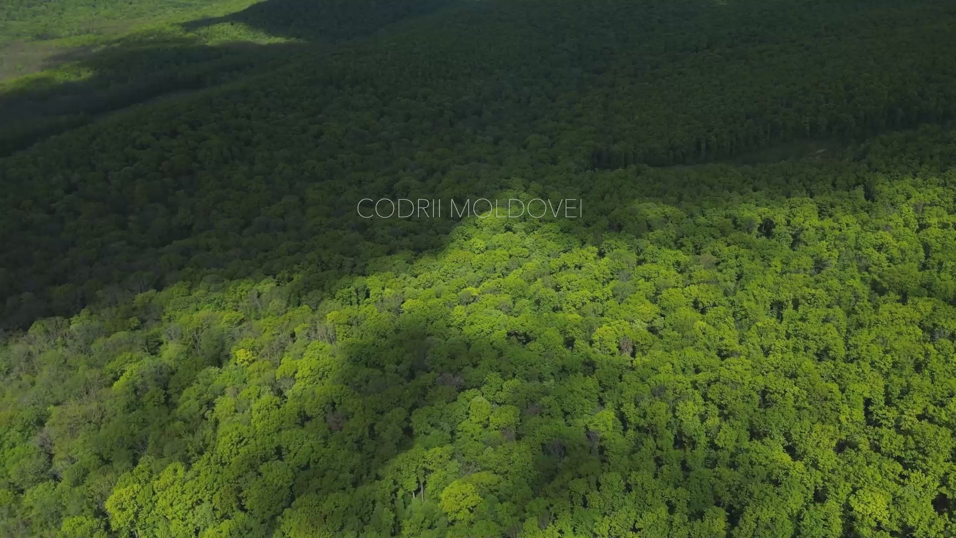 Load video: Moldovan Hills honey harvest raw organic honey Sunspill Honey